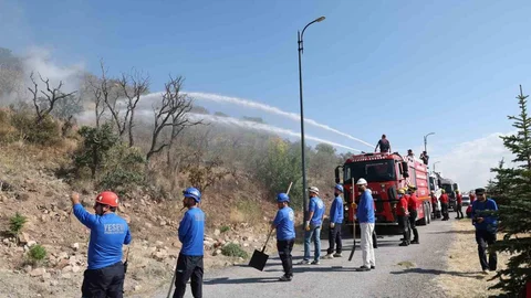 Kayseri'de Ali Dağı için Alev Kalkanı Projesi hayata geçiriliyor