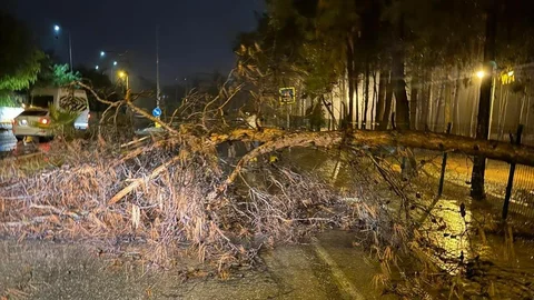 Alanya'da olumsuz hava şartlarına karşı önlemler alındı
