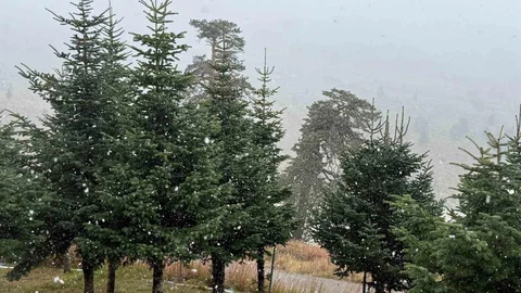 Bolu'da kar yağışı etkili oldu