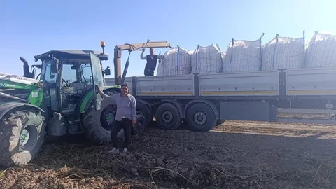 Ağrı'da Patates Hasadı Başladı