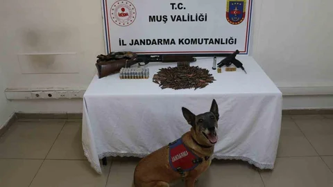 Muş'ta jandarma tezek yığınının altındaki silah ve mühimmatı ele geçirdi