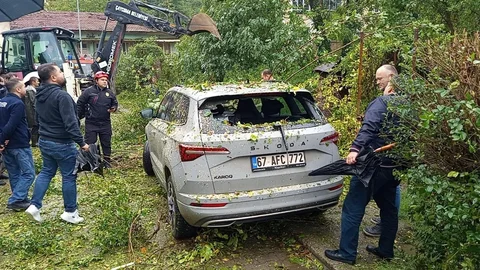 Zonguldak'ta park halindeki otomobilin üzerine ağaç devrildi