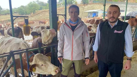 Bursa'da süt hayvancılığında yapay zeka dönemi