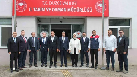 Düzce'de Kahverengi Kokarca Mücadelesi