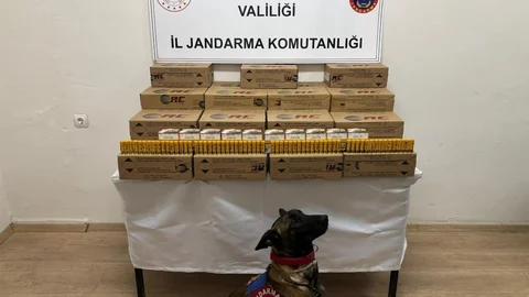 Afyonkarahisar'da jandarma 10 bin kaçak av tüfeği mermisi ele geçirdi