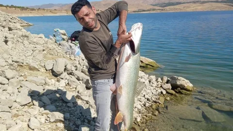 Elazığ'da turna yakalandı