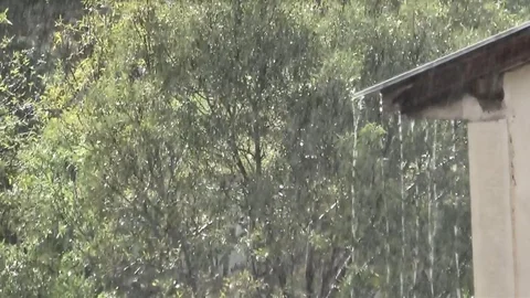 Tunceli'de sağanak yağış etkili oldu