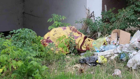 Bolu'da battaniye alarmı yaşandı