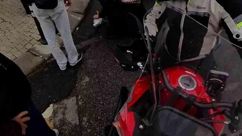 Ataşehir'de direğe çarpan martı kalp masajıyla hayata döndü