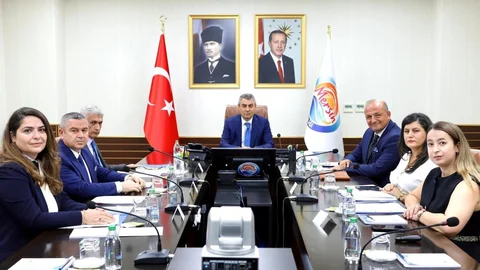 Mersin İlinde Kadına Karşı Şiddetin Kriminolojik Analizi Çalışması