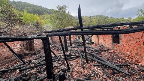 Osmancık'ta Yanan Ahırda 30 Küçükbaş Hayvan Yok Oldu