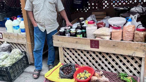 Türkeli'de kestane ve fesleğen mantarı tezgahlara geldi.