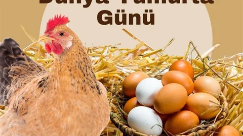 Türk Veteriner Hekimleri Birliği Başkanı Eroğlu, yumurtanın eşsiz bir gıda kaynağı olduğunu belirtti.