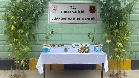 Tokat'ta jandarma ekipleri 2 ayda 56 kişiye uyuşturucu suçlarından işlem yaptı