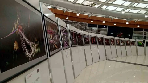 Malatya'da Kutnu Kumaş Sergisi