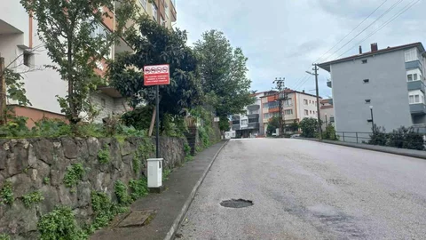 Zonguldak'ta Hatalı Parklara Cezai Düzenleme