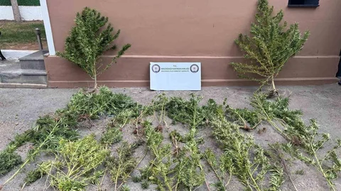 Mardin'de uyuşturucu operasyonu