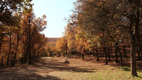 Afyonkarahisar'da Sonbahar Güzellikleri
