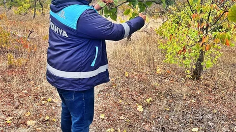 Kütahya'da Arazilerde Fiziki Kontroller Yapıldı