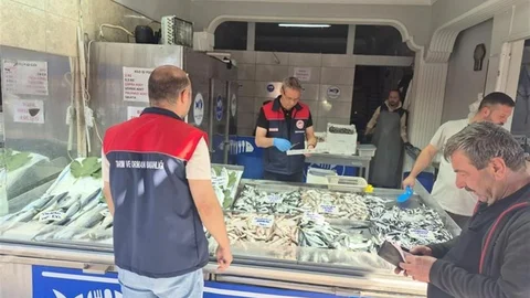 Düzce'de su ürünleri denetiminde 11 kasa balığa el konuldu