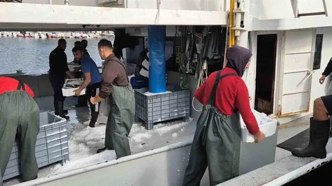 Tekirdağ'da balıkçıların yüzü güldü