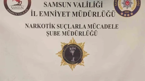 Samsun'da narkotik operasyonu