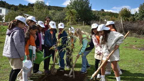 Atakum'da Ağaç Dikimi Etkinliği