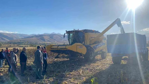Erzincan'da ayçiçeği hasadı başladı