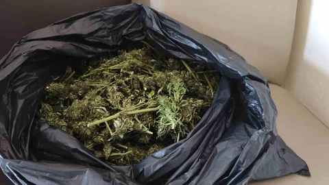 İnegöl'de Güvercin Kümesinde Uyuşturucu Bulundu