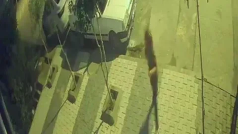 Arnavutköy'de freni patlayan araç çocukların arasına daldı