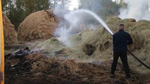Başkale'de yangında bin bağ ot kül oldu