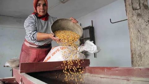 Giresun'da Değirmen Kültürü Yaşatılıyor