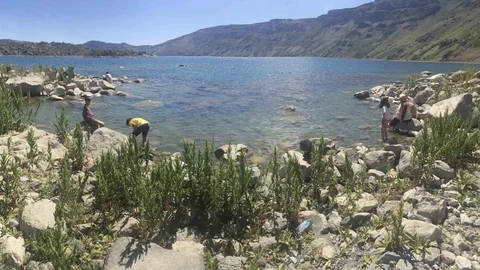 Bitlis'te mangal yakan iki kişiye 5 bin 906 TL ceza