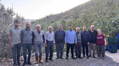 Antalya’da çekirdeksiz nar hasadı sürüyor