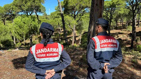 Aydın'da endemik çiçek için 557 bin TL ceza