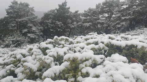 Tokat'ta kar ve yağmur etkili oldu