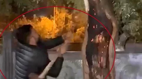 Siirt'te yanan ağacı kestikten sonra suyla söndürdüler