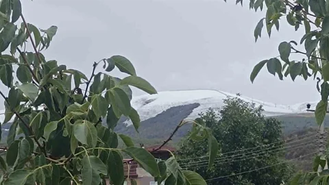 Samsun'da Ladik'te kar yağışı