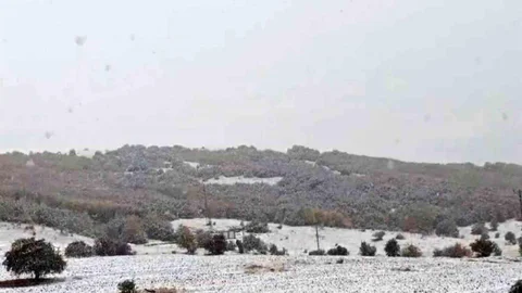 Sivas'ta kar yağışı etkili oldu