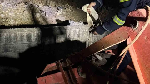 Siirt’te inek kurtarma operasyonu