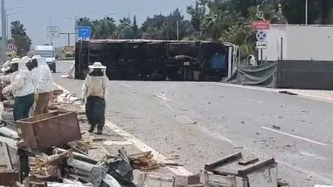 Mersin’de Arı Yüklü Kamyon Kaza Yaptı: 3 Yaralı