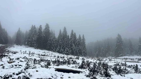 Bolu'da kar yağışı yüksek kesimleri beyaz örtüyle kapladı