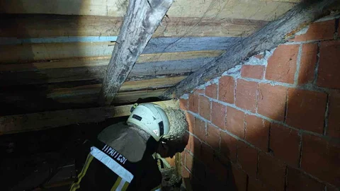 Karabük'te yaban arısı yuvası evin çatısından çıkarıldı