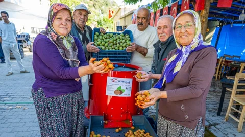 Mersin’de Üreticilere " Ceviz Soyma Makinesi’ Desteği