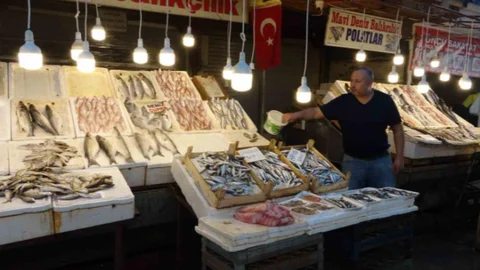 Mersin’de Balık Bolluğu: Hem Cep Hem Mide Şenleniyor!