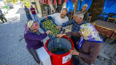 Mersin'de üreticilere ceviz soyma makinesi desteği