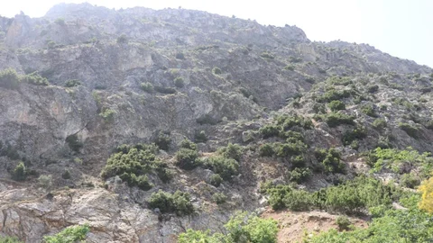 Eğirdir'de kaybolan emekli muhasebeci için arama başlatıldı