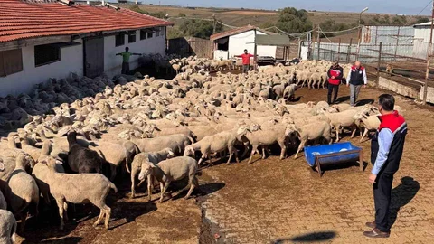 Tekirdağ'da üreticilerin sorunları dinlendi