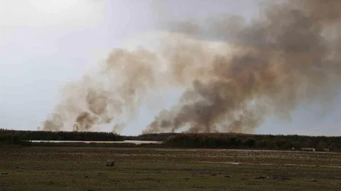 Bitlis'te İron Sazlığı'nda yangın