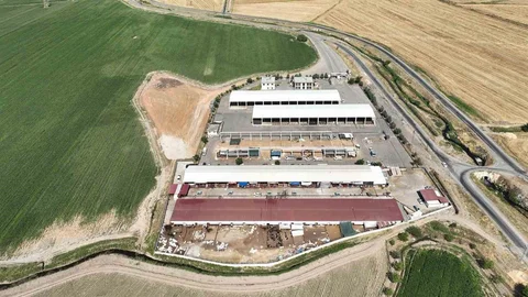 Kahramanmaraş'ta canlı hayvan pazarı yeniden hizmete girdi